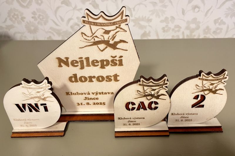 Leyas KCHCH Jince 2025 b