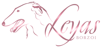 Leyas borzoi kennel