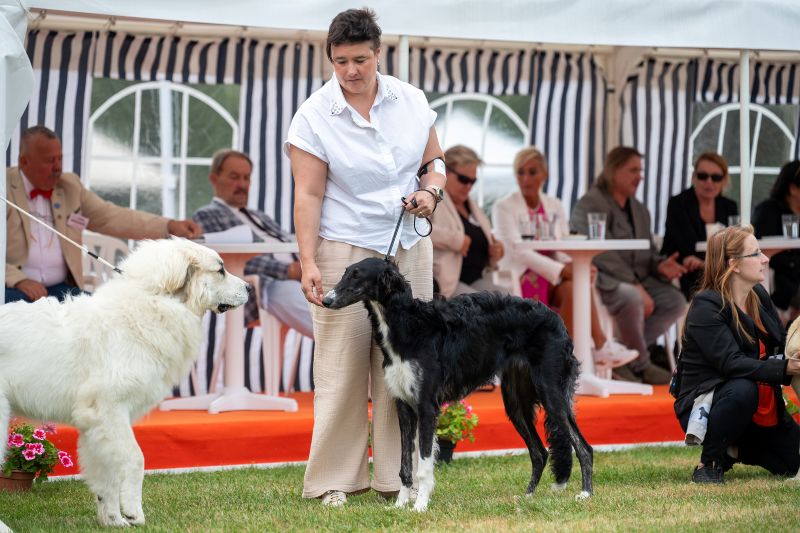 Nora Boleslav 2025 f