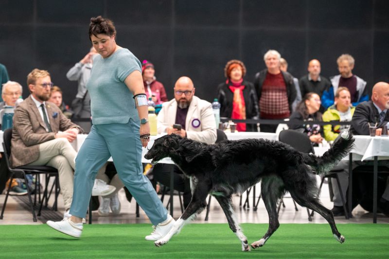 Nora CBudejovice 2025