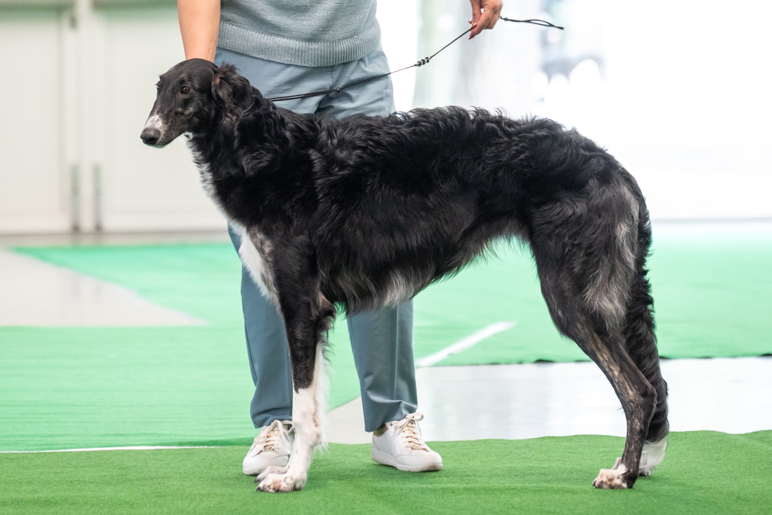 Nora CBudejovice 2025 b