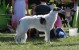 ruby 2019 klatovy cerven